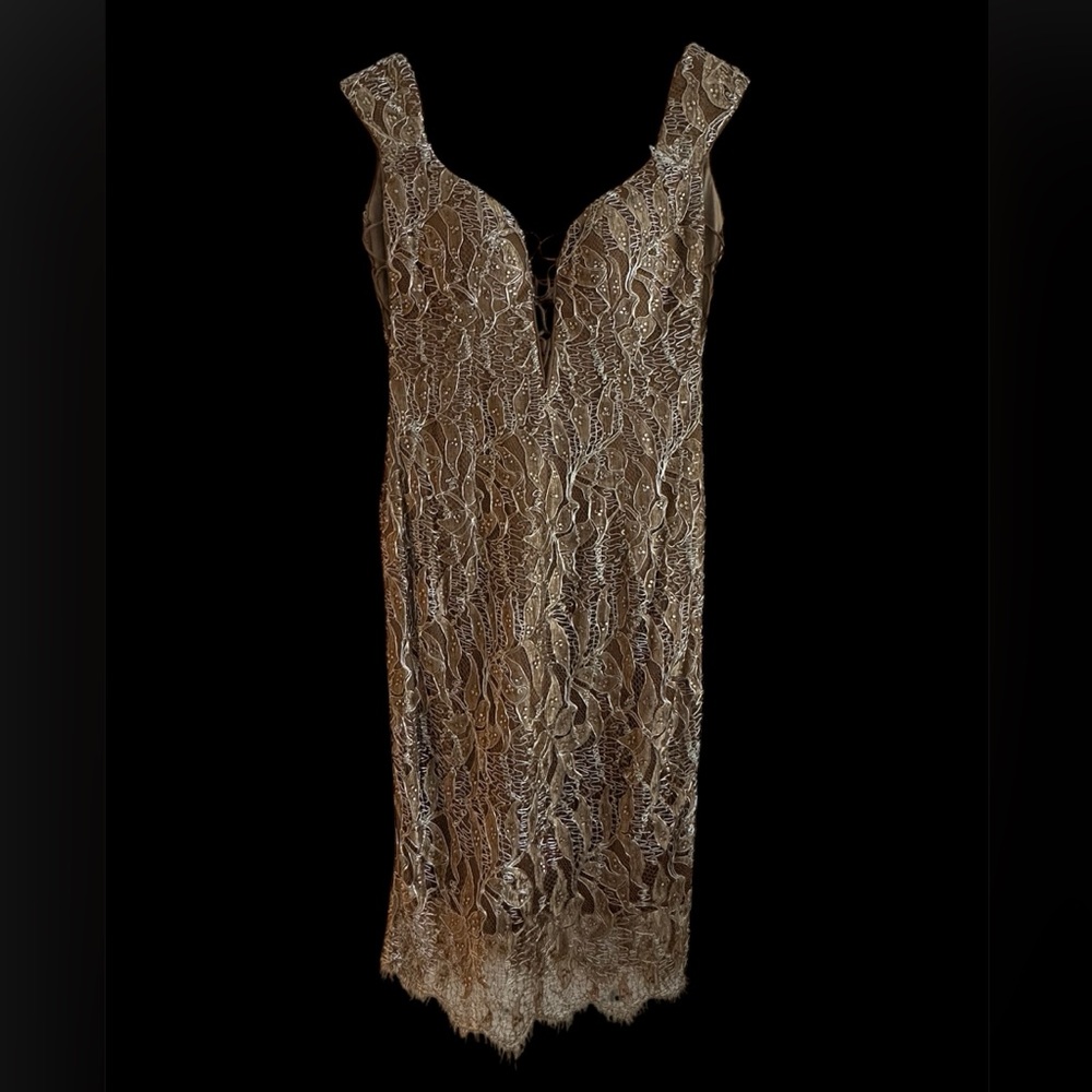 Baracci Beverly Hills Couture- French Lace/ Swarovski Luxury Evening Dress